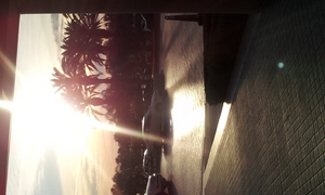 2013-02-03 07.52.55.jpg